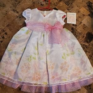 Bonnie Baby Toddler dress